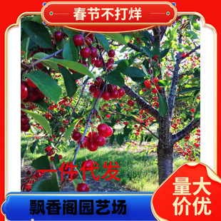 ܇���Ә����ش�ˮ��������ϱ���ͥԺ�Nֲ����Y�����Ҵ����