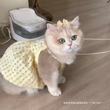 猫咪夏天衣服小裙子防掉毛可爱ins金渐层布偶猫英短夏季吊带裙子