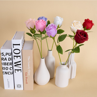 ����õ�廨��֧õ�彁���ٻ��ٲ����滨��Y�Ҿ����˹��b�����