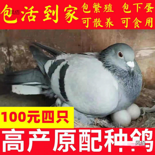 �����µ������������N�����߻���������С���ӻ�һ��