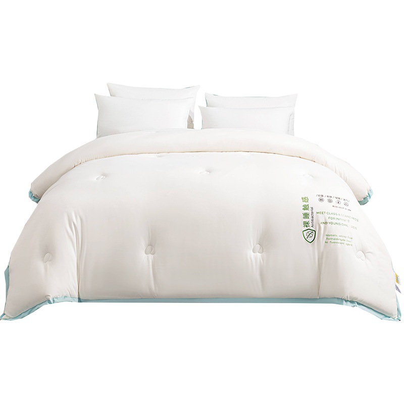 Class a Soybean Fiber Quilt, Thickened Winter Quilt, Warm Single Dormitory Cotton Quilt Core, Thick Winter Version, Spring and Autumn Bedding