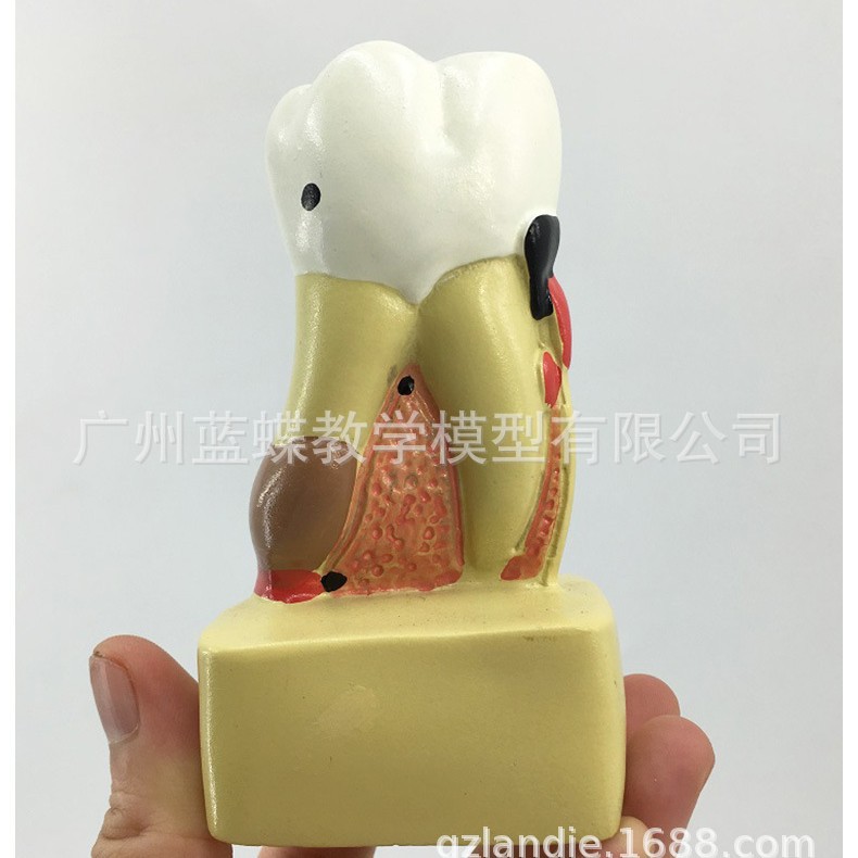 ����ģ�� ���ݲ��ۺϲ���ģ�� ���ݽ�������ģ�� ���� ҽ����ͨ