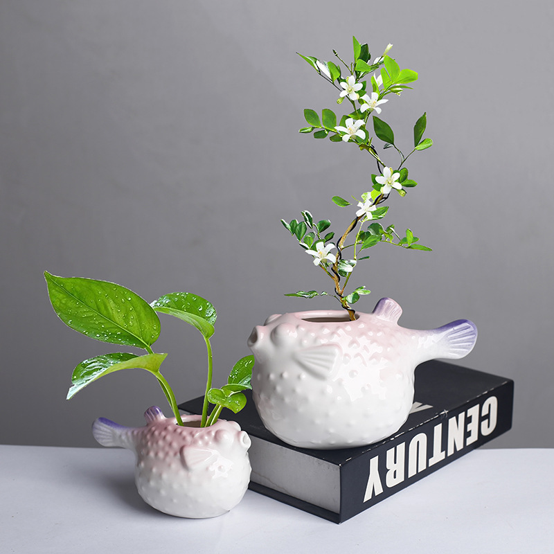 Keramik Succulent Saksı — Balıq Formalı Dekorativ Çiçək Qabı
