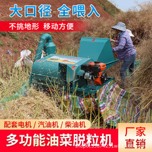 ǱCе80Ͷ๦ͲÓCСͼˮС֥S