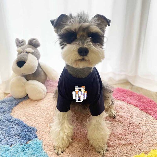 Cross-border foreign trade pet dog clothes summer small and medium-sized dog schnauzer clothes summer thin T-shirt number 71-83