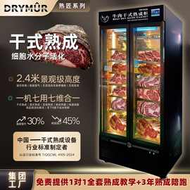 DRYM R干式熟成柜牛肉深海鱼牛排排酸柜解冻多功能熟成柜熟成库