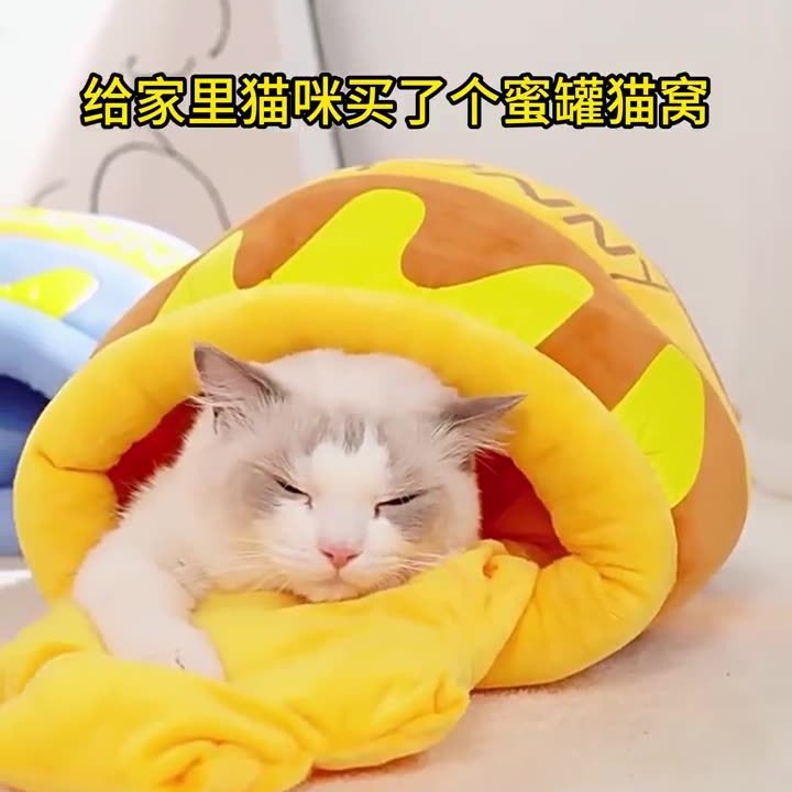 Honey Jar Cat Nest, High Aesthetic Value, Versatile, Cute, Winter Warm, Enclosed, Safe Pet Nest, Cold-Proof Cat Bed