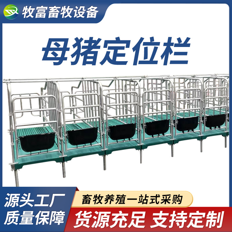 Tipo de piso simple barra de cama de parto gruesa barra de posición de cerdas galvanizadas en caliente barra de posición de cerdas con placa de estiércol equipo de cría