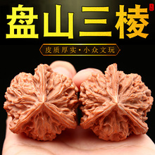 ����Pɽ���������Ȼ���L����������������Ʒ�ղت{���^���ΰѼ�