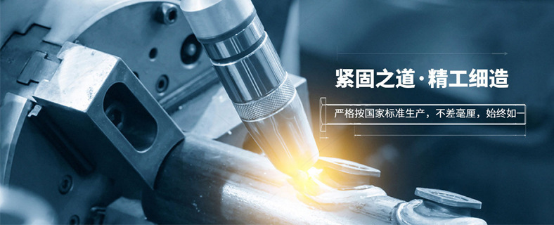 O1CN011zz0vF20KBsGjp987_!!2213