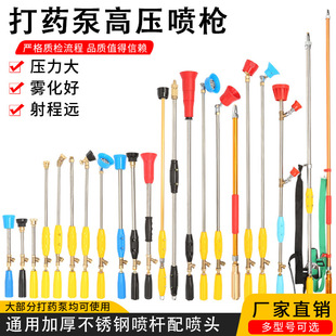 Agricultural Spray Gun, New Gasoline Engine, High-Pressure, High-Atomization Spray Rod, Extension Rod, Adjustable Nozzle
