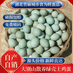 30ö�������l���u��ɢ�B�r�ҾG������x�����u���������r���u��