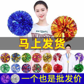 花球啦啦操花球拉拉队手花拉拉花啦啦队彩球运动会手拿花助威道具