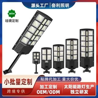 定制太阳能户外照明路灯防水人体感应一体化室外庭院太阳能照明灯