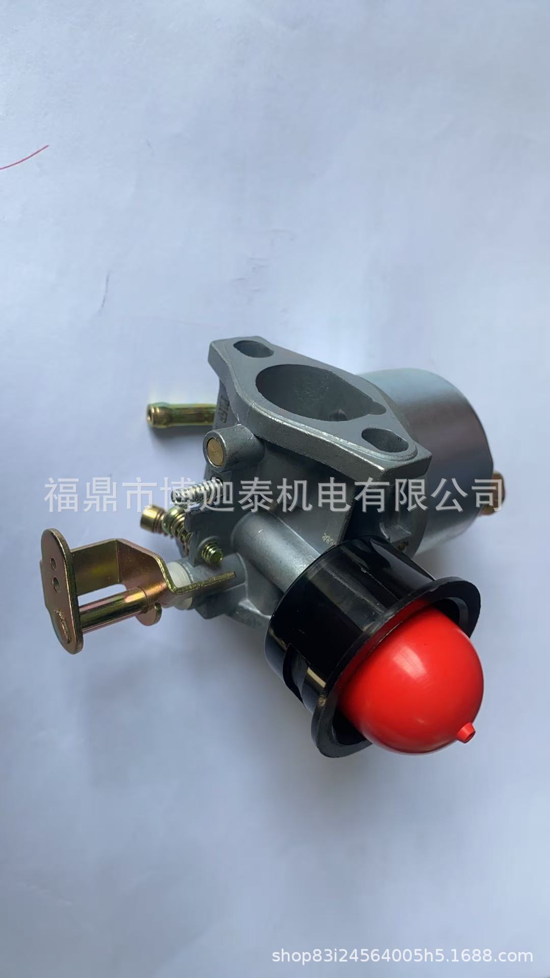 Gasoline Generator Rgx2400 Carburetor Gasoline Engine Water Pump Ey20 Carburetor High Quality Engine