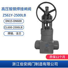 A105߉ܷ⺸lyZ561Y-1500LB 2500LB