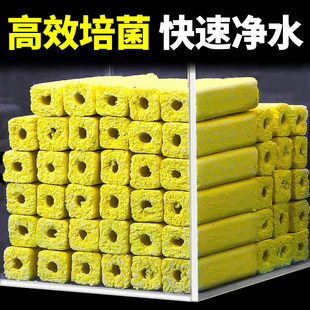 �~���^�V���ϞV��ˮ���^�V�մɭhɺ����ʯӢ�{����������������