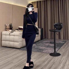 2025秋冬新款时尚套装女设计感小众长袖上衣高腰包臀半身裙两件套
