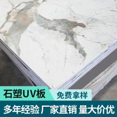 Uv板材は大理石の板をまねてペンキを塗っていない高光の石のプラスチックの装飾板の防水の防火の室内のKTVホテルの壁板を保護します。