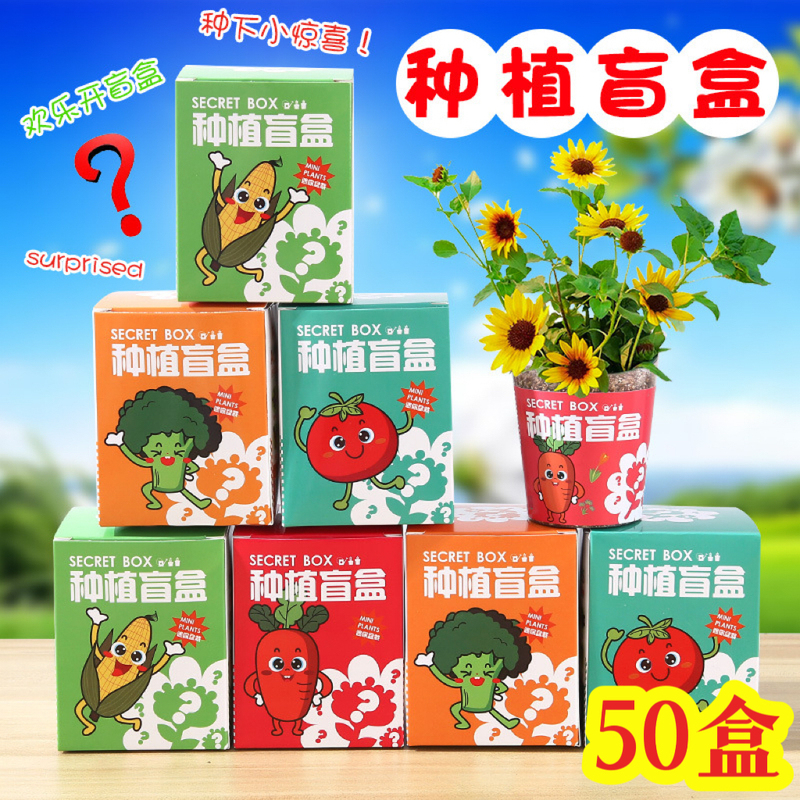 Planting Blind Box Potted Green Plants as Prizes for Elementary School Students, Small Gifts for Children Starting School, Birthday Gifts for Kindergarten, and Reward Items