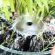 13cm Yongquan ground sprinkler 360 degree full circle scattering drip irrigation fruit tree potted irrigation sprinkler