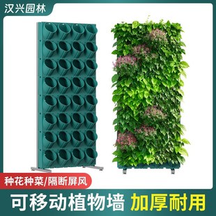 �Nֲ�ƄӑҒ컨����̨�̨�N�˶��Ӽ�ֲ����L��ݮ�߲����w����