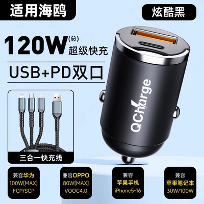Siqaret yandırıcısı cigarette lighter for Qin Plus - default-item-seagull-exclusive-120w-hidden-model-cool-black-15m-all-in-one-data-cable