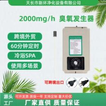 厂家现货批发农残降解消毒水除异味除菌农残臭氧果蔬消毒机净化器