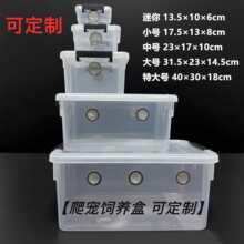 ������B�� ��D�،m֩��������ݽ���ϐ�Ӹ����͸����B��