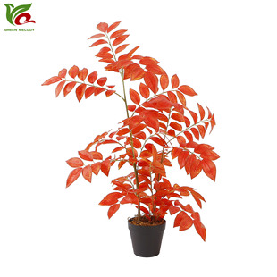 �羳����Gֲ�[���S����ٻ����컨 �ز�軨����� �tɫ��ɫ����