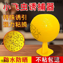 ��ω��Ғ���x�����T�x���ӷ����T�x��ճ�x�r��ճ�z�̽���