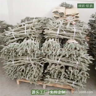 �S�����l�Sţľ ��֦�o�~��U �٘������֦ľ �����b�ľ��֦
