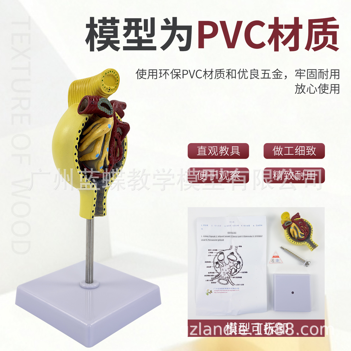 ��ѧ����������С�����ģ�ʹ�������Ȼ����С���������ϵͳ�̾�