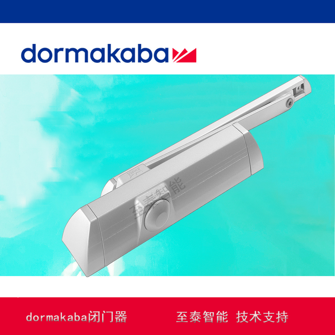 德国多玛闭门器TS90－DORMA闭门器 多玛标准型凸轮传动结构