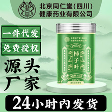 柿子叶100g茶新鲜干柿子叶柿子叶茶煮水泡茶即泡非粉