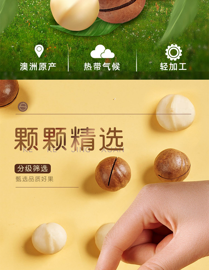 Macadamia Nuts In Shell Snack Easy Crack Roasted Nut Treat 50g Pack key features