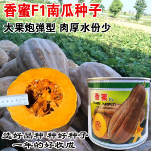 �����Ϲ��۱��ϹϷN���ر��ܱ��Ϲ��߲˷N���߲˴�����Ʒ���n�ļ�