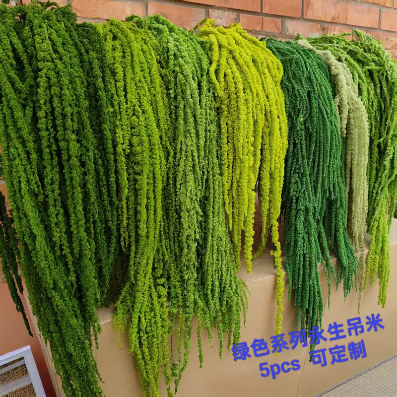 Roses with Short Stems, Preserved Flowers, Wholesale for Hotel and Photo Studio Decoration, Wedding and Bridal Arrangements Roses with Short Stems, Preserved Flowers, Wholesale for Hotel and Photo Studio Decoration, Wedding and Bridal Arrangements