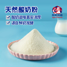 焙杰酸奶粉  糖果固体饮料调味用 【不做酸奶】厂家直营鲜奶发酵