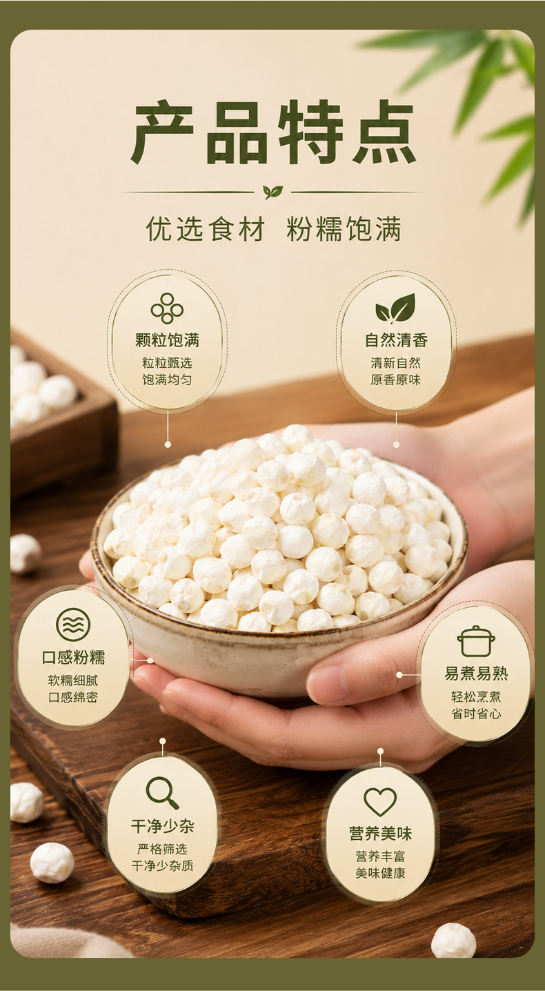 Fresh Peeled Gorgon Fruit Qian Shi 500g Large Granules Vacuum Packed Seasonal Euryale Seeds quality and texture