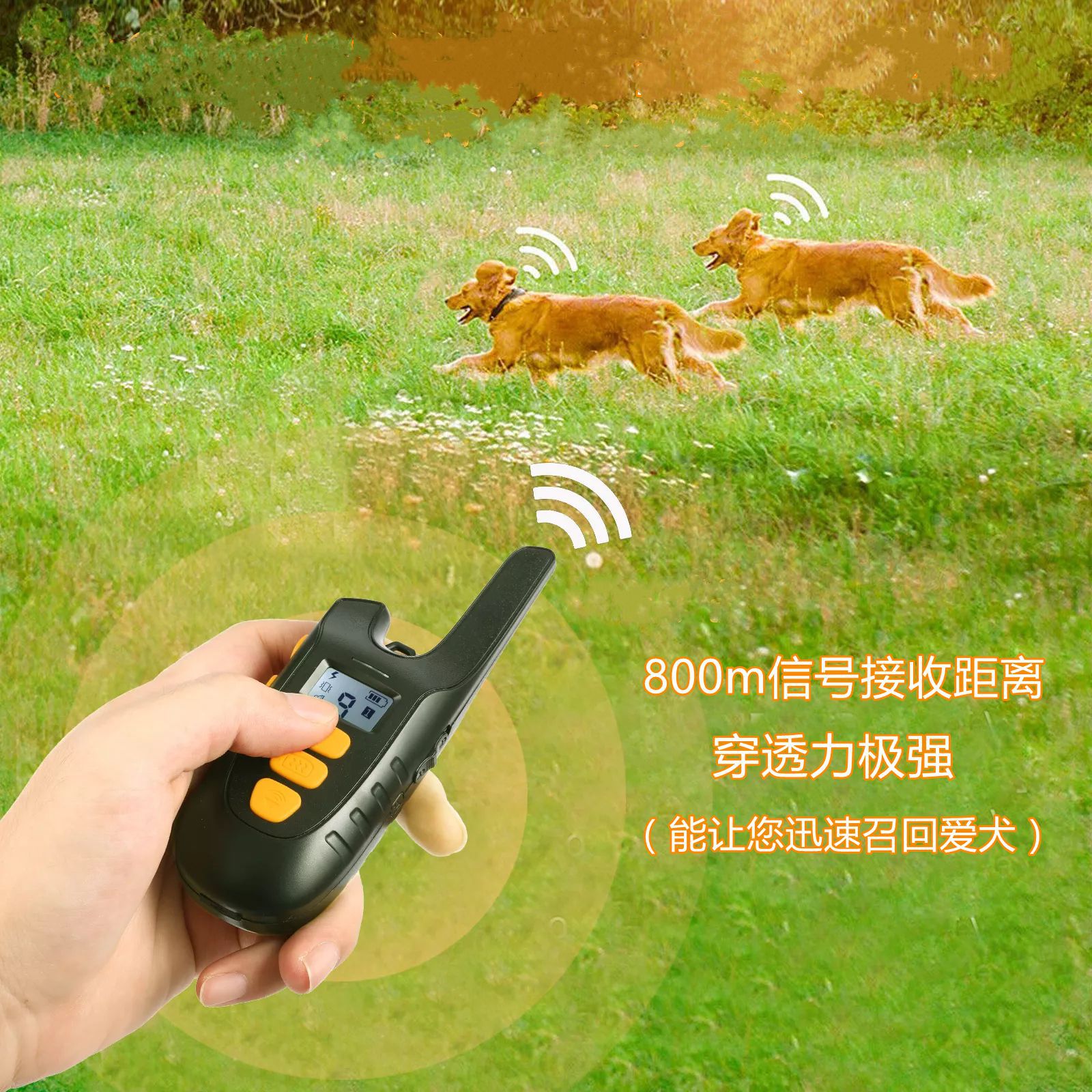 亚马逊智能遥控训狗器止吠器 充电震动电击防水训练项圈 厂家直供