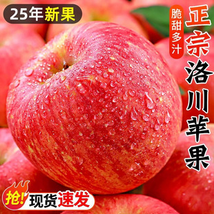 �崨�t��ʿ�O�����rˮ����������֭���һ�����l