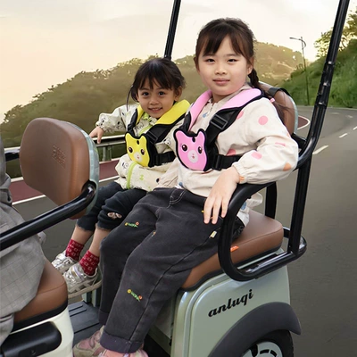 Rear Straps Electric Car Rear Seat Other Automotive Safety Supplies