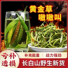 ����ɽҰ�����������ݲ���ǿ����ʯ�ݶ����ƽ���໽�����������