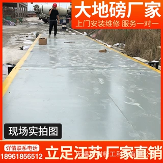 大树衡器电子汽车衡30吨60吨80吨100吨120吨大型地磅秤厂家包安装