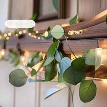 ���R�dled������Ʒ����G�~�ٲʟ��~������cͥԺ�ȼ����~�b�