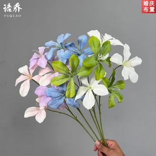 �����{���滨��c�û��ٻ����Ż��Y���û���Y�È�����������껨