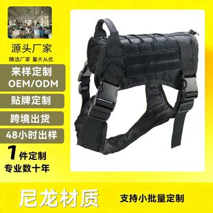 ���g�������������·��羳���N����Ȯ���{��������g���������R��