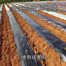 农用薄膜;包装薄膜;建筑膜