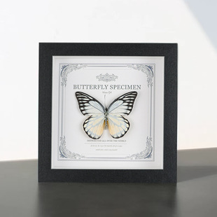 �����˱����ľ�|�b�DIY�͹����[̨�Ҿ��b����x�˱��b�